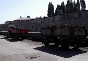 Tezek piyasası açıldı